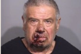 Itasca man, 75, charged in shooting death of woman near Harvard