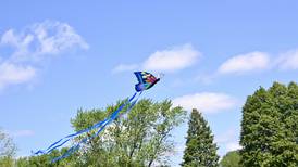 Photos: 5th annual Kites in Flight fill the sky at Peck Park in Ottawa