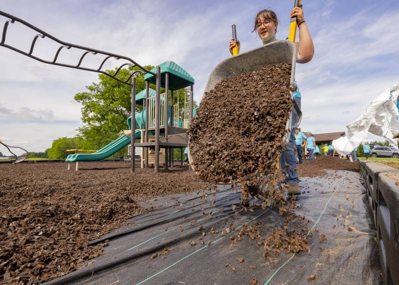 Genevieve Salander pours out a wheelbarrow of rubber mulch which replaces sand at Baker's Lake in Peru on June 2, 2024.