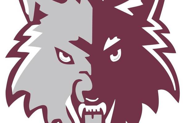 Owen Satterlee throws 2-hit shutout as Prairie Ridge beats Cary-Grove: Tuesday’s Northwest Herald roundup