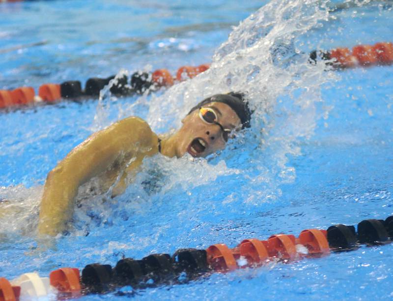 Sterling's Madison Austin competes in the 200 freestyle relay in Byron on Wednesday, Oct. 5.