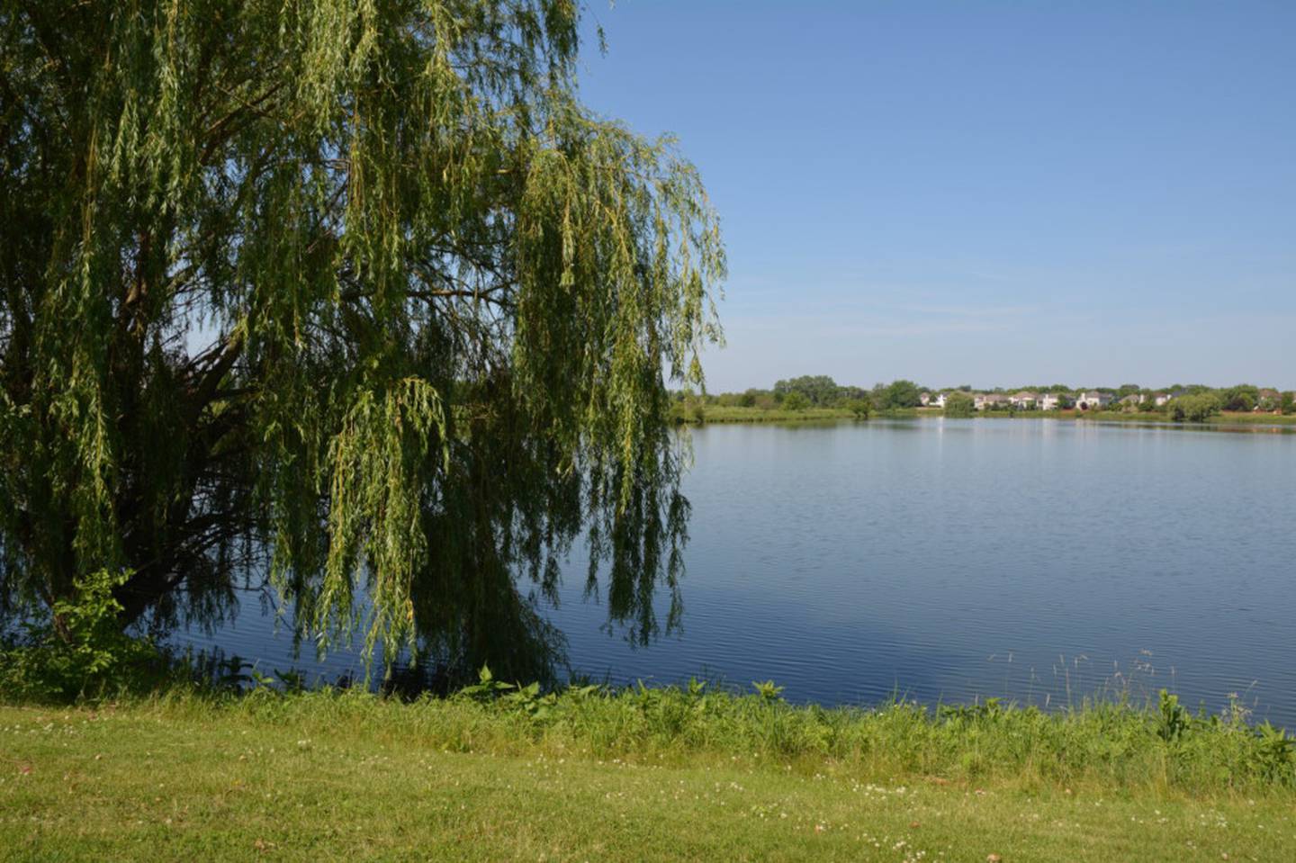 Lake Douglas at Farmington Lakes Park