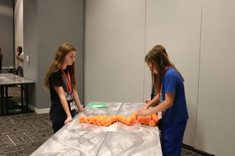 Gwen Heeley, representing Marshall-Putnam 4-H, takes part in the 4-H Junior Leadership Conference in Springfield, connecting with other young leaders from across Illinois.