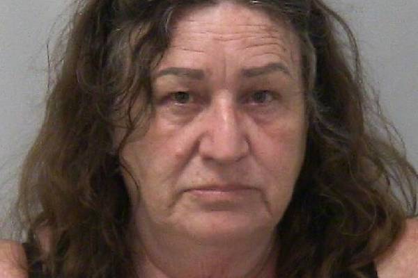 Amboy woman, wanted on drug-related warrant, charged with more drug offenses after Dixon traffic stop