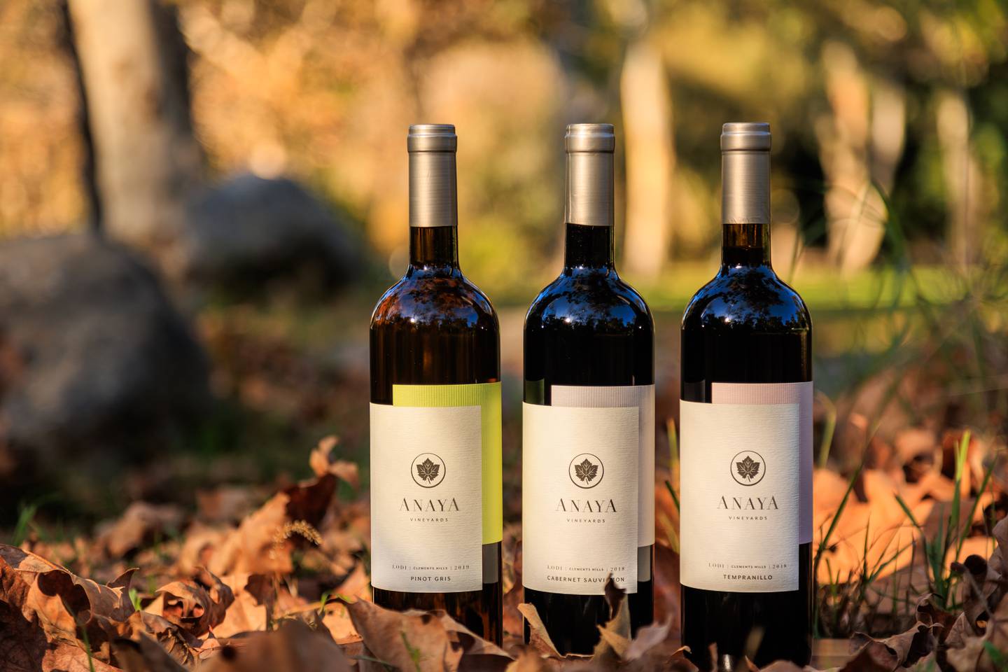 Lodi: Anaya Vineyards in California