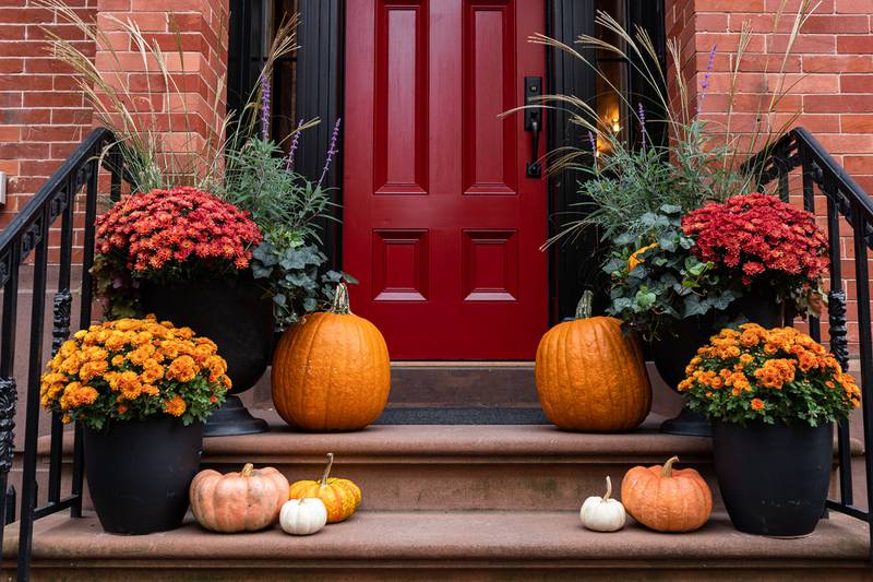 Northern IL Home Search - Enhancing Your Home’s Curb Appeal Before Listing It For Sale This Fall