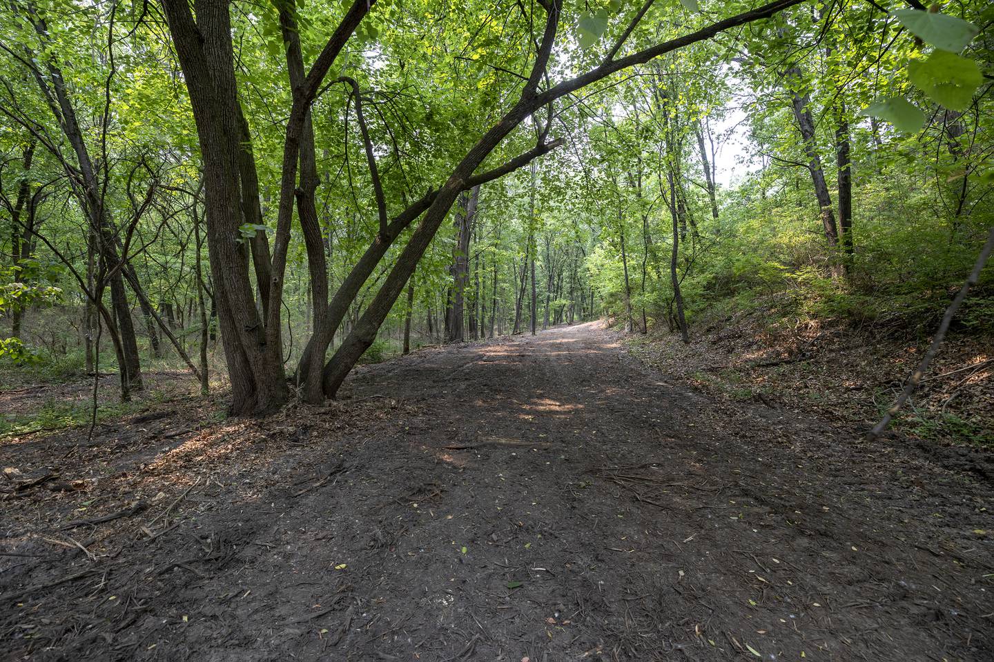 The John and Arlene Hildebrand Natural Area in Grand Detour was dedicated with a ceremony Sunday, May 25, 2025. The area joins other Middle Rock Conservation property.