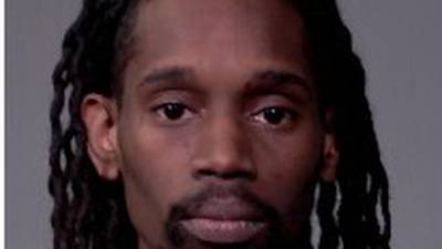 Joliet man faces multiple charges after stealing car and fleeing, police say