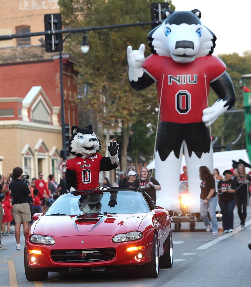 Victor E. Huskie and his balloon likeness wave at visitors during the parade Thursday, Oct. 2, 2025, during the Huskie Homecoming Block Party in downtown DeKalb.