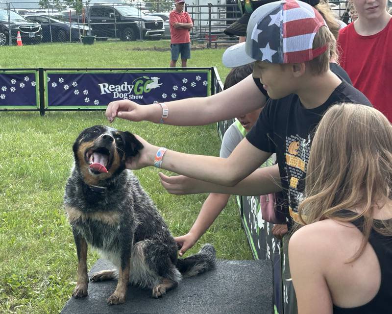 Kids pet one of the pups that performed at the Ready Go Dog Show following a performance at the Ogle County Fair on Thursday, July 31, 2025.