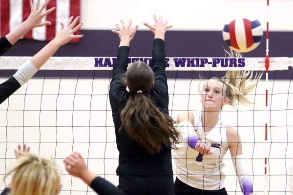 Girls volleyball: 2025 Northwest Herald All-Area Team