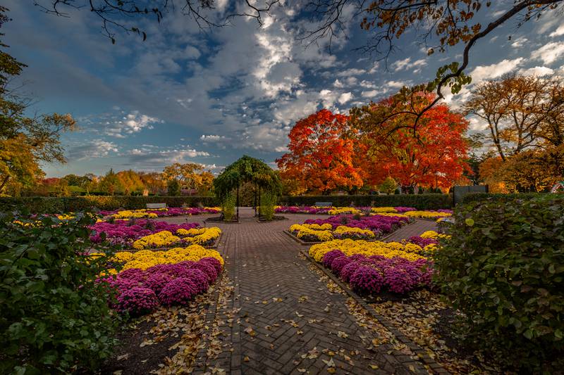 Cantigny's annual Fall Festival is Sept. 27-28, 2025.