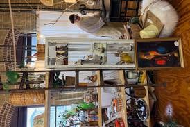 Discover vintage treasure at Warehouse 55 