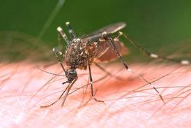First human case of West Nile Virus reported in Will County