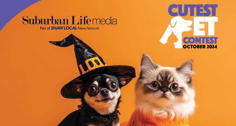 SLM Oct pets promo