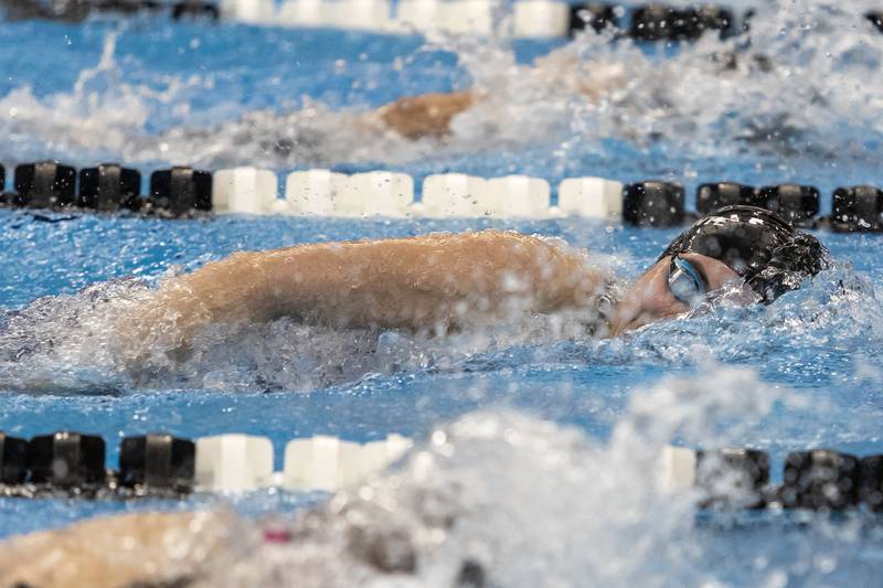 Lincoln-Way Central’s Genevieve Dal Ponte competes in the 100 Yard Freestyle during the IHSA Girls State Swimming Preliminaries at FMC Natatorium in Westmont on Nov. 14, 2025.