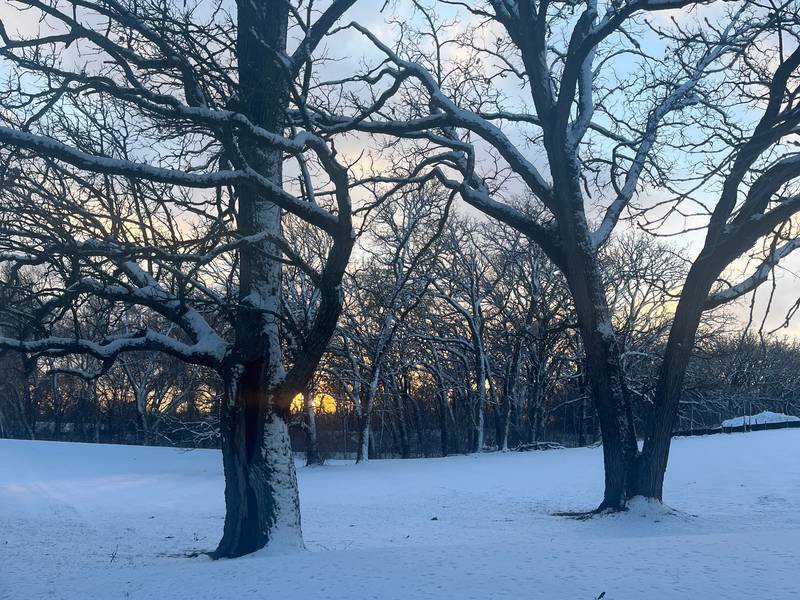 A snowy sunset photo taken on Jan. 11, 2024, while walking the trail along Cary-Algonquin Road.