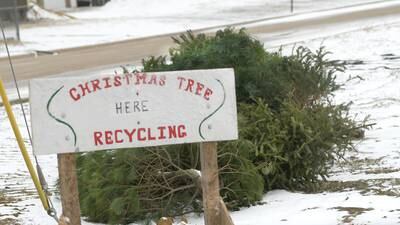 Christmas tree recycling available in Ogle County