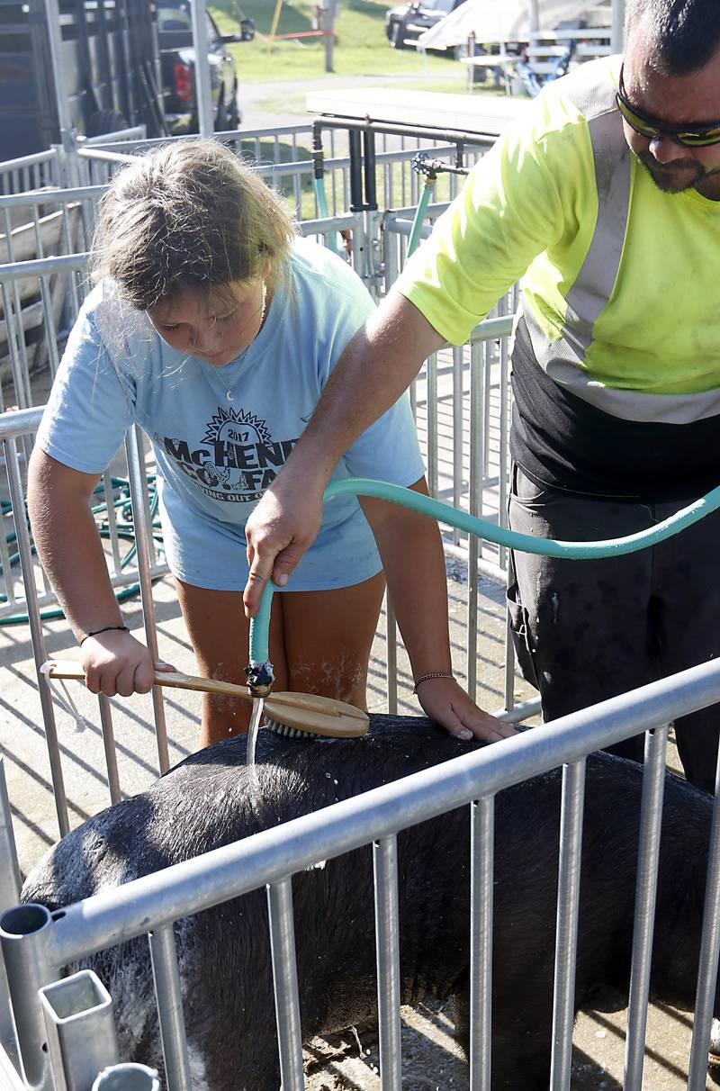 Layla Powles, 11, and her dad, Bill, wash her pig, Sussy, during the first day of the McHenry County Fair Tuesday, August 2, 2022, at the fairgrounds in Woodstock. The fair funs through Sunday, Aug. 7.  Entry to the fair is $10 for anyone over age 14, and $5 for chidden ages 6 to 13. Ages 5 and under are free.