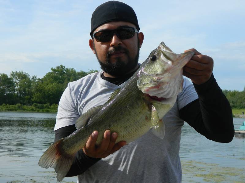 will county forest preserve, big fish contest, monee reservoir