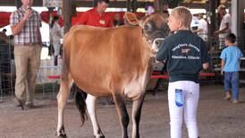 Sandwich Fair wraps up Sunday