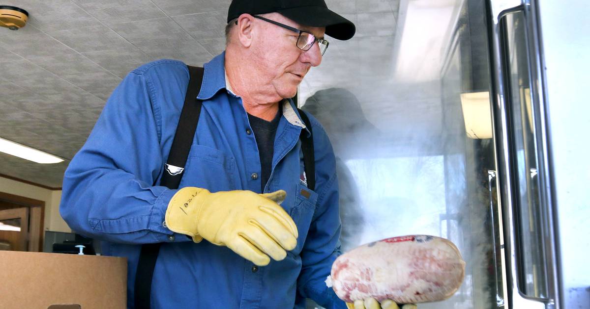 Kauffman ailesi, Waterman’daki Ho-Ka Türkiye Çiftlikleri’nde hindiler için son çağrıyı yapıyor – Shaw Local