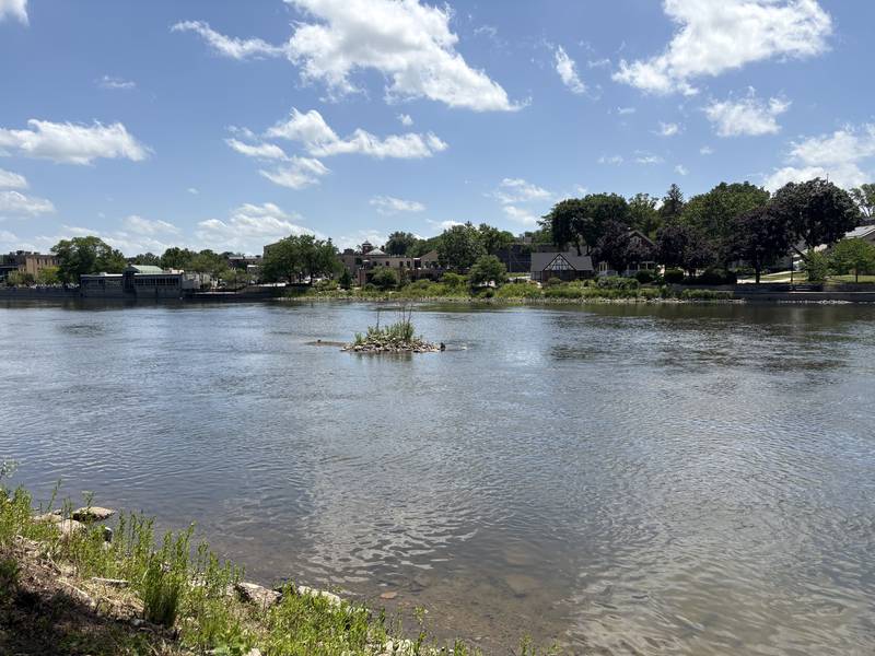 The Fox River pictured in East Dundee after the "El Cardunal" paddle June 22, 2025.