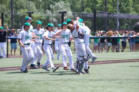 Baseball: York staves off Batavia to win second consecutive Class 4A sectional title