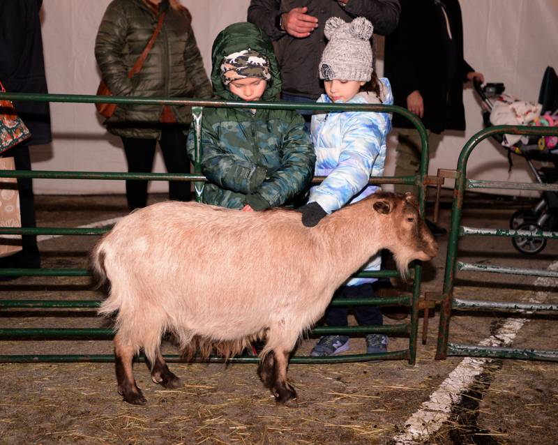 Children including cousins  Max Gelber of Brookfield and Molly McCarthy of Westchester pet animals including goats during the LaGrange Holiday Walk Saturday, Dec. 2, 2023.