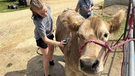Photos: Day 3 at the Ogle County Fair