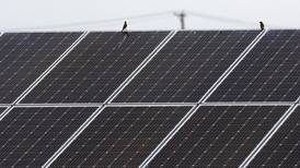 Neighbors prefer solar farm over more housing, McHenry alderwoman says