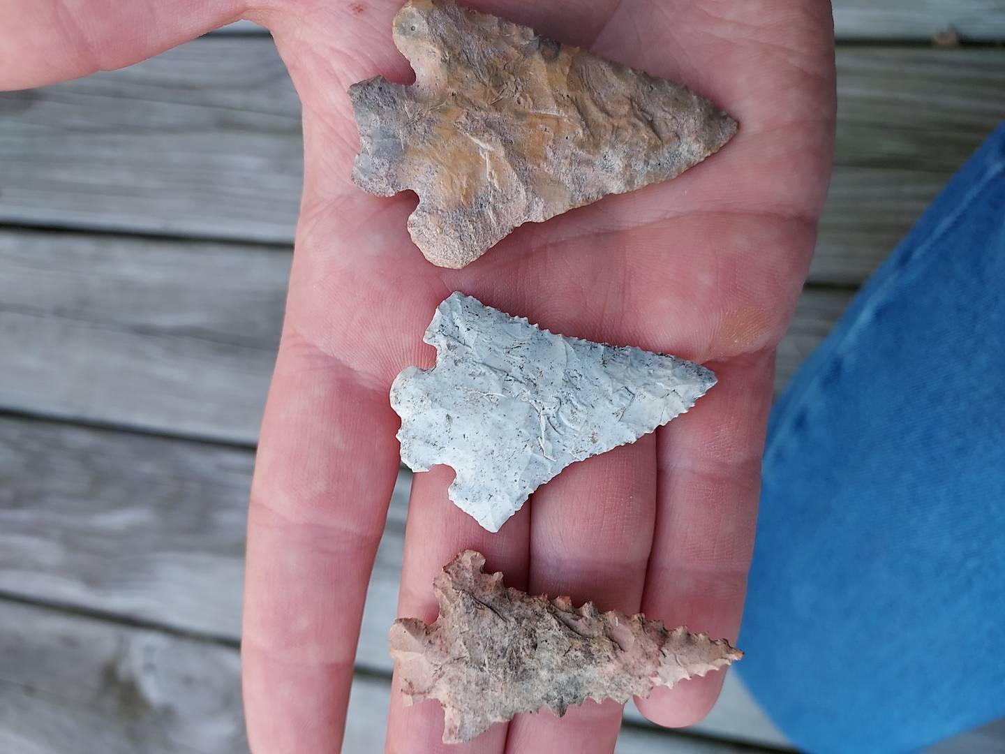 Archaeologist Tristen Arnold displays Fox Valley Points, found nowhere else in America. The points date back to people living around 7,500 B.C. to 4,000 B.C. during the Archaic Period.