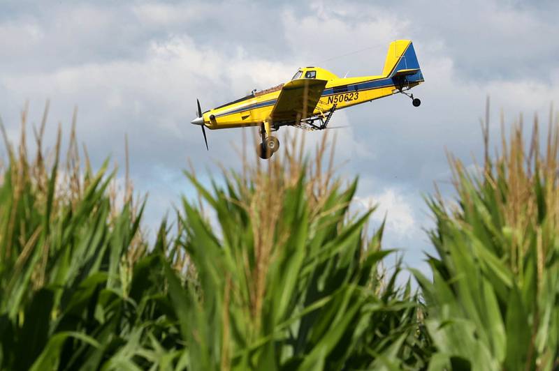 A crop dusting plane flys low over crops Friday Aug. 9, 2024, on Somonauk Road just south of Hinckley.