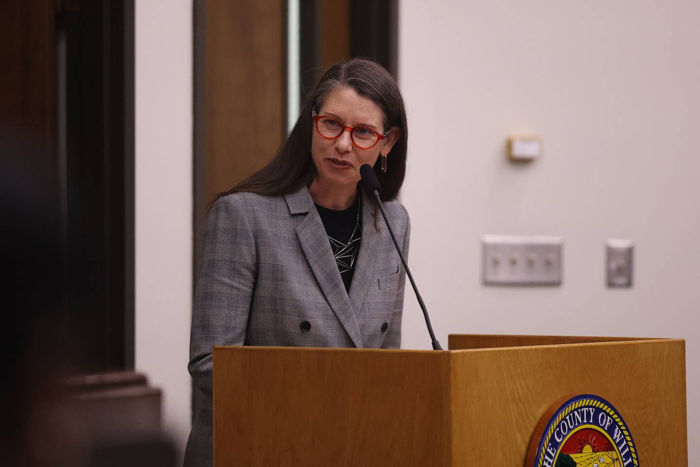 Bonnie McDonald, CEO Landmarks Illinois, speaks at a special meeting on the future of the old Will County Courthouse at the Will County board on Thursday, Aug. 17, 2023 in Joliet.