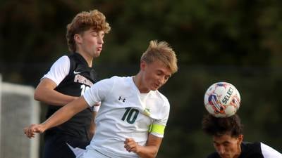 McHenry County-area boys soccer players earn 2024 IHSSCA honors