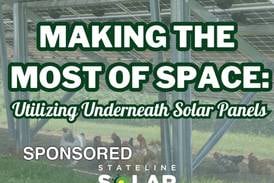 Making the Most of Space: Utilizing Underneath Solar Panels