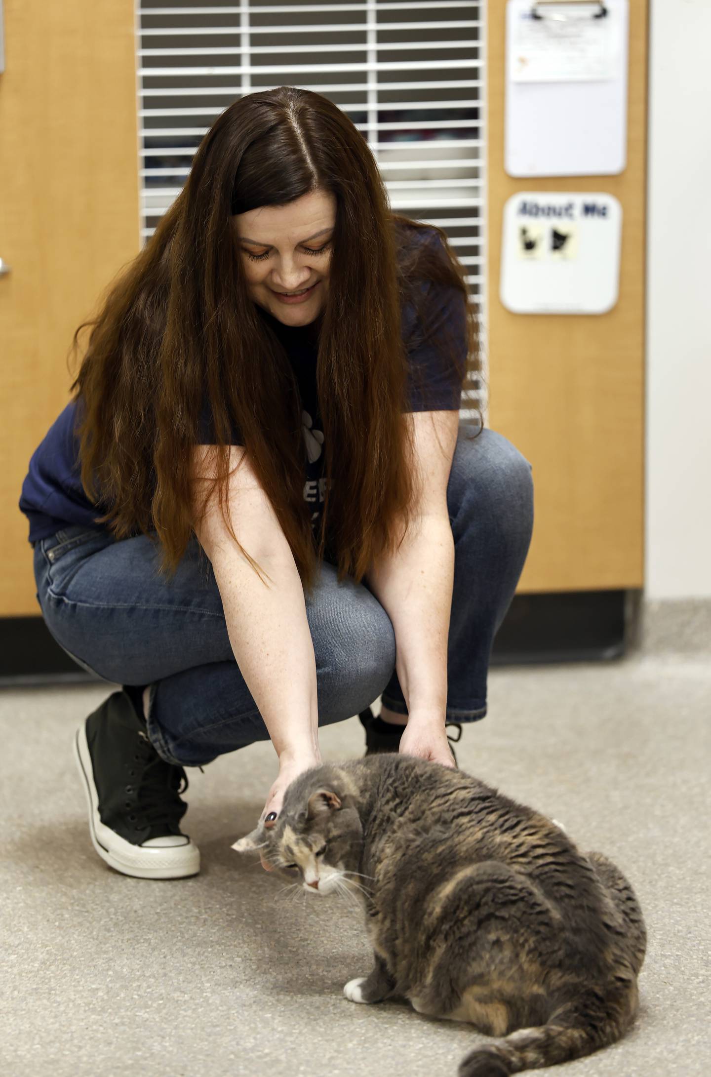 Agnieszka ("Aga") Bazan-Guzman, a volunteer and cat lover from Elmhurst works with one of the cats available for adoption at DuPage County Animal Services Friday, Nov. 21, 2025 in Wheaton.