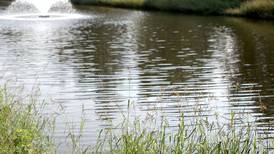 Downers Grove parks director earns special honor