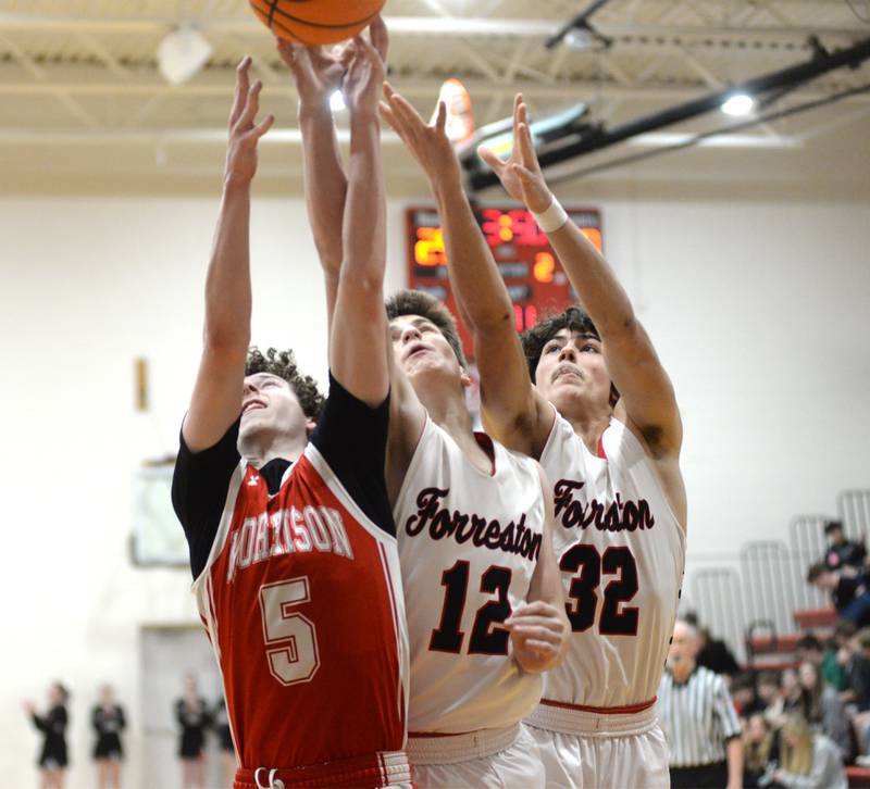 Morrison's Brayden Rubright (5) and Forreston's Darin Greenfield (12) and Jonathan Milnes (32) battle for a rebound during a Saturday, Feb. 8, 2025 game at Forreston High School. The Cardinals won the game 70-49.