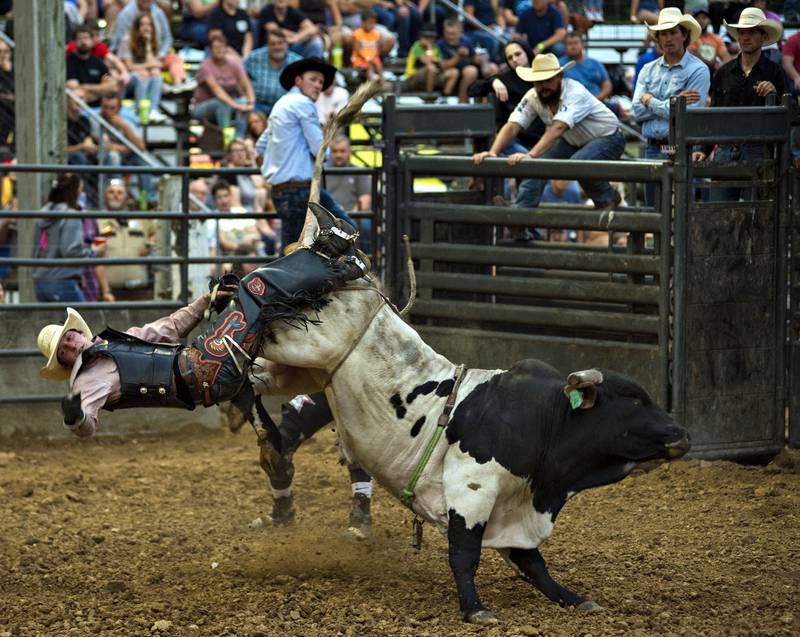 High ranking rider Jarett Evans is no match for Hush Money Thursday night in Milledgeville.