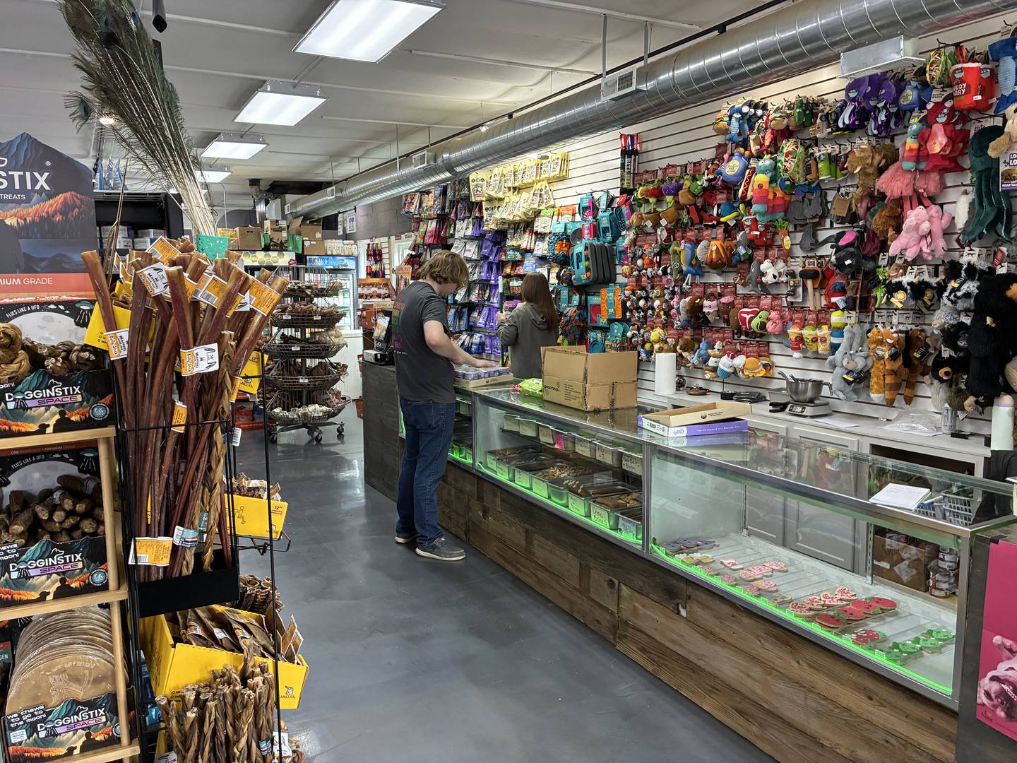 Store manager Matthew Taylor and Retail Rock Star Mary Mueller work on pricing and shelving products at Reeses Barkery and Pawtique on Wednesday, March 4, 2026. The McHenry pet emporium is settling into a temporary store, at 3314 Pearl St., McHenry, following a Jan. 18 fire at their Riverside Drive location.