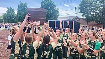 Softball: St. Bede peels Orangeville 6-1, punches ticket back to state