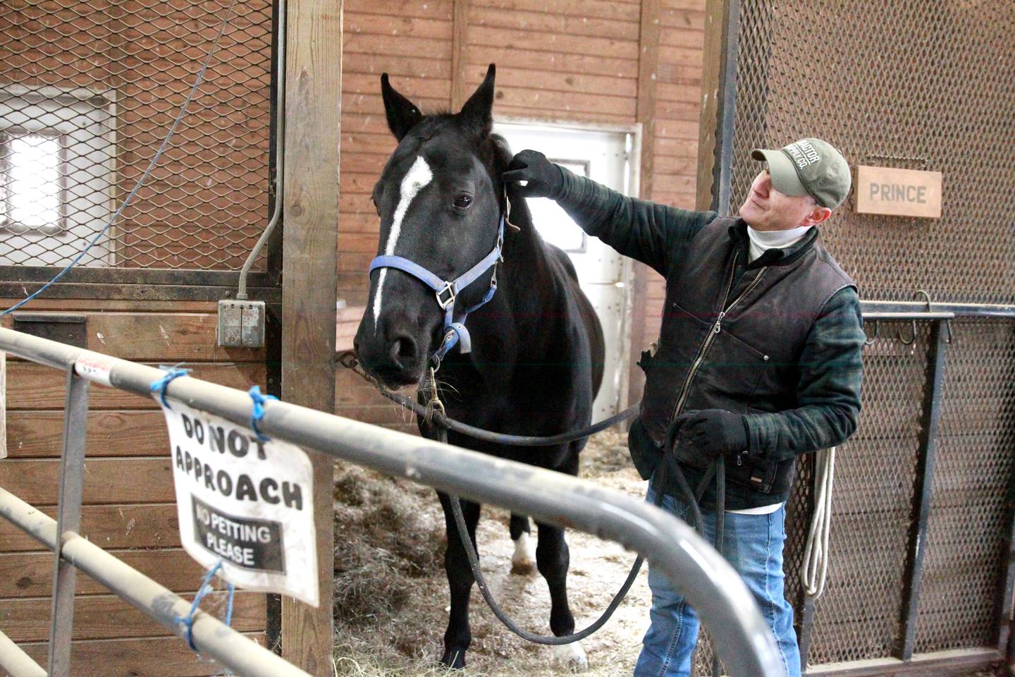 Horse Trainer Mitch Bornstein works with Prince at Casey’s Safe Haven in Maple Park.