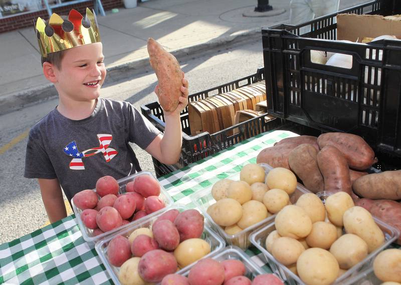 Carson McCleese, 6, of Wauconda checks out a sweet potato featured in the Harms Farm produce stand at the Wauconda Farmers’ Market in downtown Wauconda. The farmers’ market runs on Thursday afternoons from 4-7pm through September 29th.