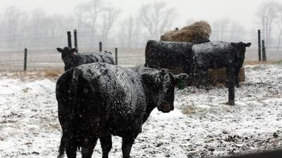 Henry: Farmers need a financial boost