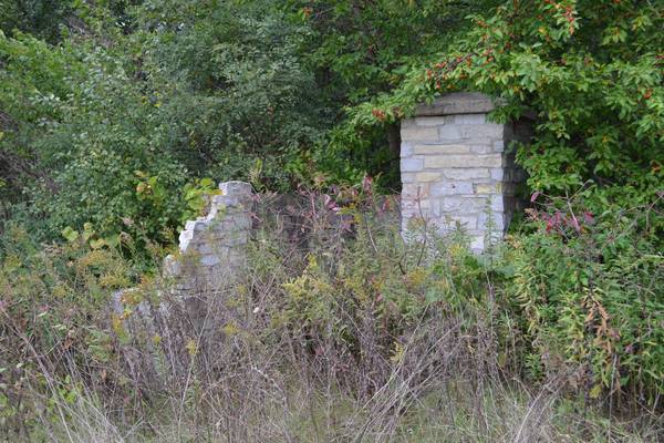 Wooded land near Woodstock holds a secret: an abandoned 19th-century graveyard