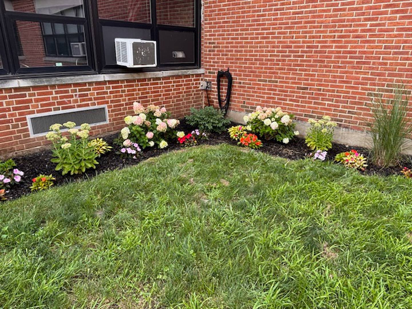 Flowers pictured in the Amy Roeder Memorial Garden at Woodstock's Westwood Elementary School.