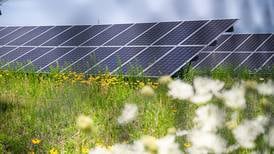 Oswego to consider community solar program to help residents save on electric bills