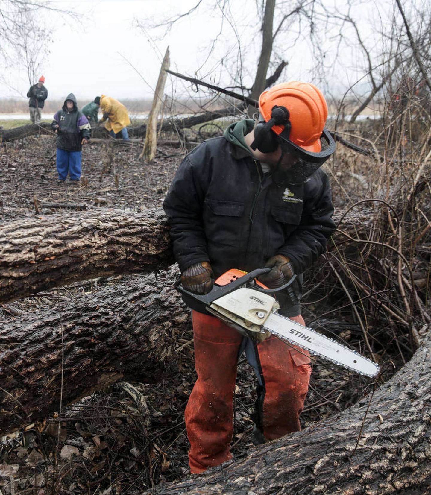 Volunteers and staff members of the Will County forest preserve work to clear brush from Theodore Marsh on Monday during the preserve's Martin Luther King Jr. work day in Crest Hill.