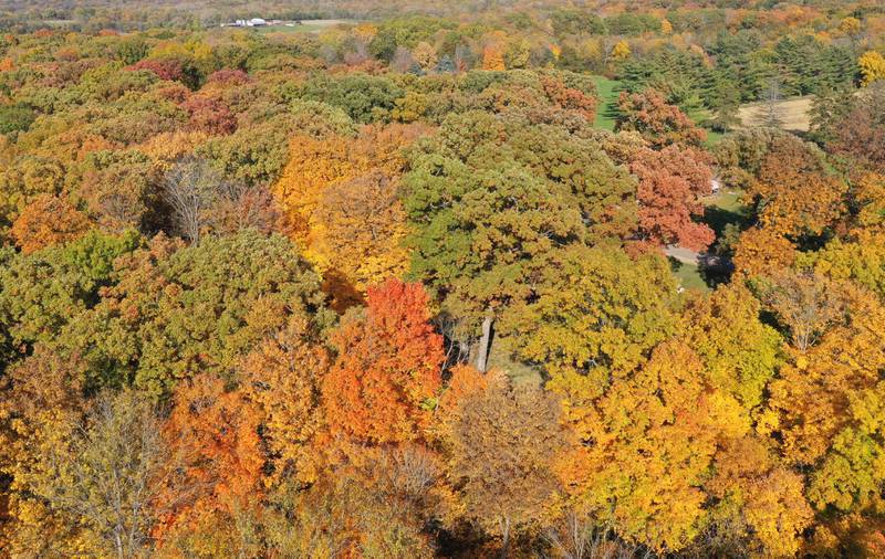 Trees begin to reach their peak at City County Park on Monday, Oct. 23, 2023 in Princeton.